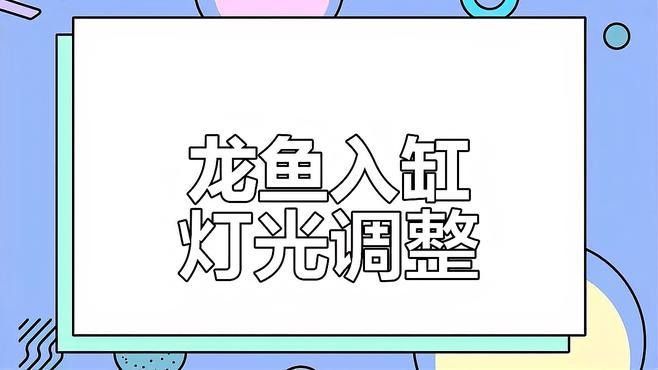 如何逐步調整龍魚的燈光參數？