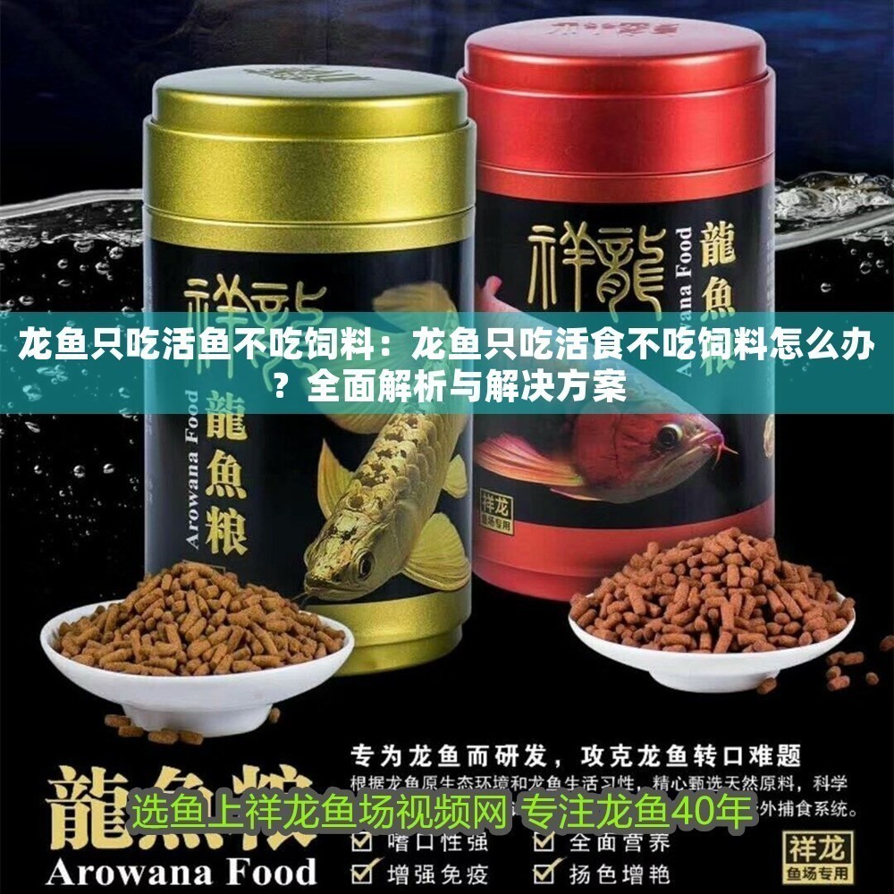 龍魚只吃活魚不吃飼料：龍魚只吃活食不吃飼料怎么辦？全面解析與解決方案