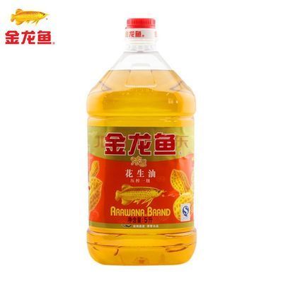 金龍魚護理：關于金龍魚護理的要點 金龍魚護理：關于金龍魚護理的要點 龍魚百科 第3張