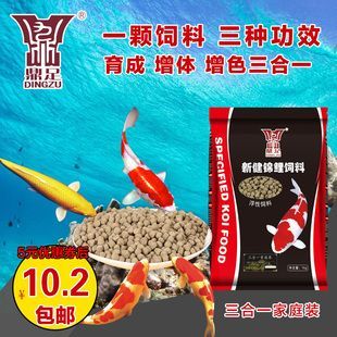 虎紋龍魚(yú)的飲食偏好和生長(zhǎng)需求與生長(zhǎng)需求與其他龍魚(yú)類似：虎紋龍魚(yú)吃什么長(zhǎng)得快 虎紋龍魚(yú)的飲食偏好和生長(zhǎng)需求與生長(zhǎng)需求與其他龍魚(yú)類似：虎紋龍魚(yú)吃什么長(zhǎng)得快 龍魚(yú)百科 第3張