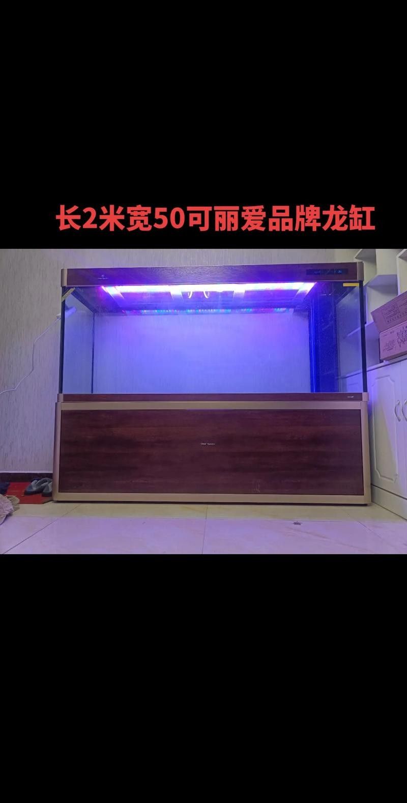 龍魚五大品牌魚缸圖片