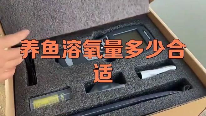 龍魚趴缸底是怎么回事視頻教學(xué)圖解