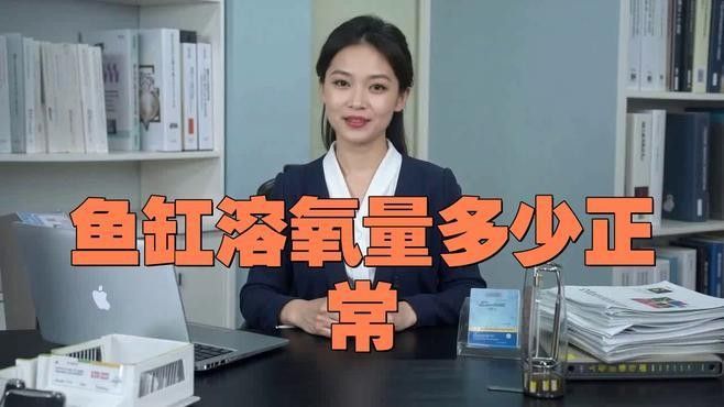 龍魚趴缸底是怎么回事視頻教學(xué)圖解