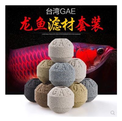 養(yǎng)龍魚需要什么濾材才能養(yǎng)魚：養(yǎng)龍魚需要什么濾材才能養(yǎng)魚養(yǎng)龍魚需要什么濾材