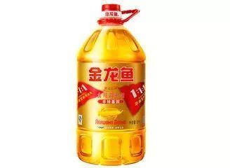 金龍魚價格為什么這么貴呢，探究金龍魚價格居高不下的原因