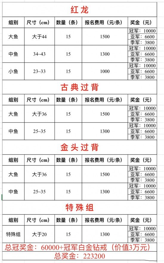 紅龍魚賽事的獎金如何 紅龍魚賽事的獎金如何 龍魚百科 第6張