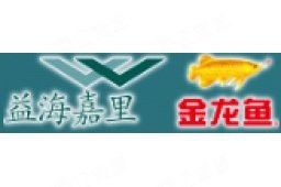 金龍魚有多少員工