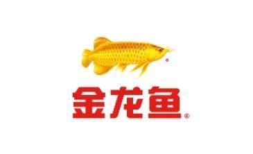 金龍魚加盟店賺錢嗎：加盟金龍魚連鎖店利潤分析