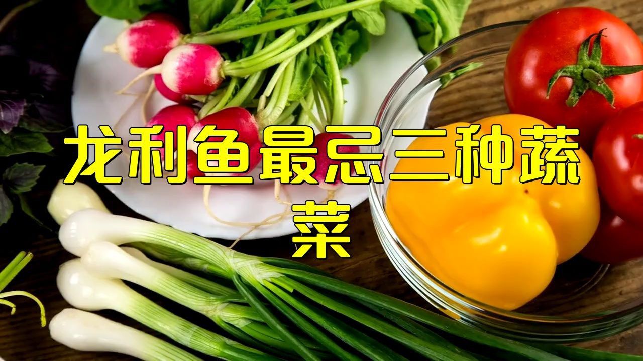 龍魚藍底最忌三種菜 龍魚藍底最忌三種菜 龍魚百科 第1張