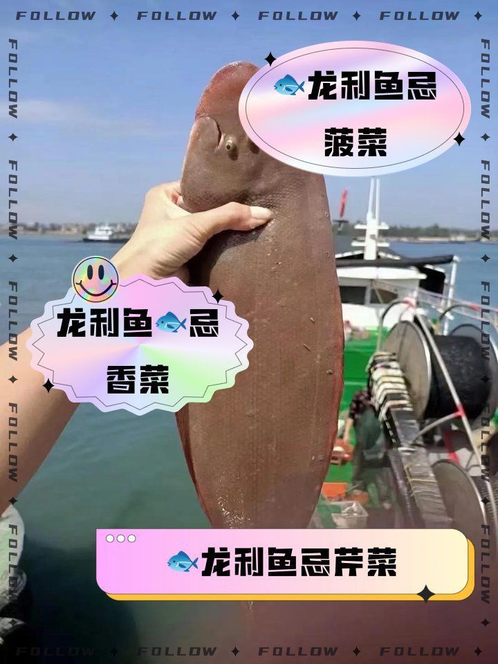 龍魚藍底最忌三種菜 龍魚藍底最忌三種菜 龍魚百科 第2張