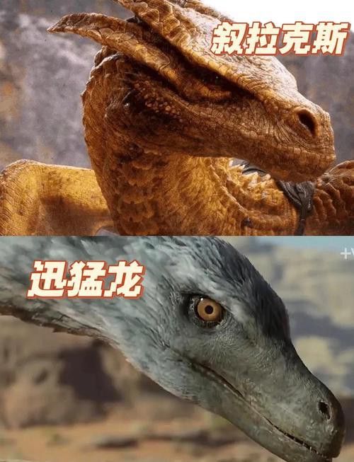 能否推薦一些養龍小說的經典之作？ 能否推薦一些養龍小說的經典之作？ 龍魚百科 第15張