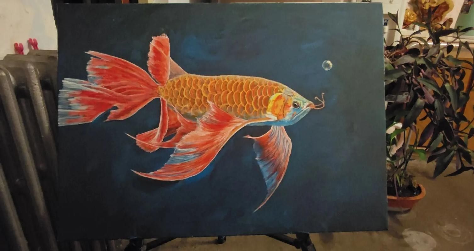 雷龍魚圖畫 雷龍魚圖畫 龍魚百科 第33張