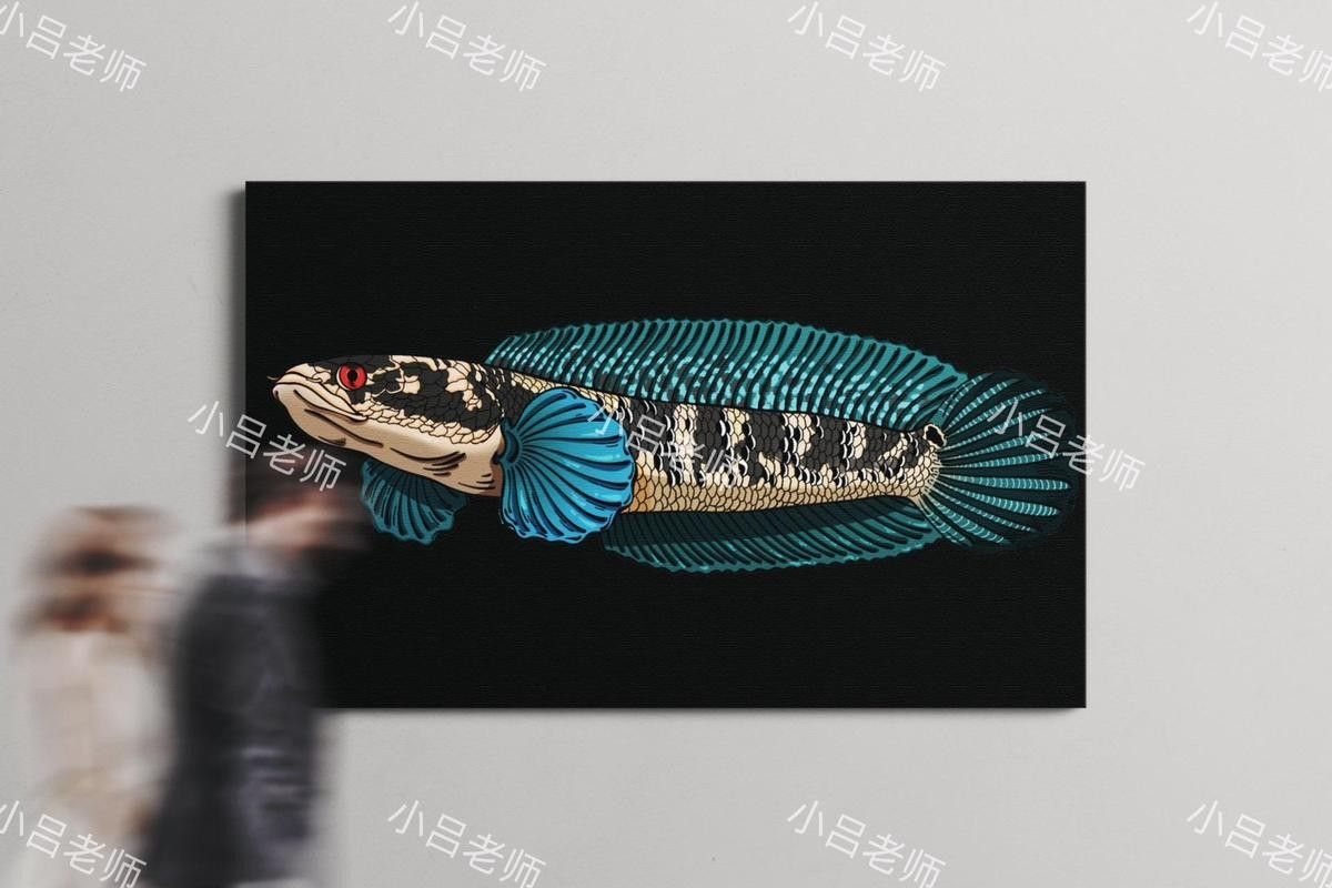 雷龍魚圖畫 雷龍魚圖畫 龍魚百科 第44張