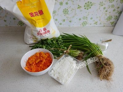 金龍魚的制作過程作文：金龍魚是一種美麗的觀賞魚，它們在水族箱中熠熠生輝