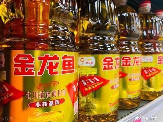 什么牌子的金龍魚好一點呢（金龍魚主要產品）