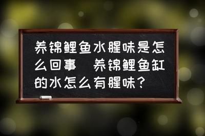 魚缸的水兩天就有味怎么處理（魚缸異味如何快速消除？）