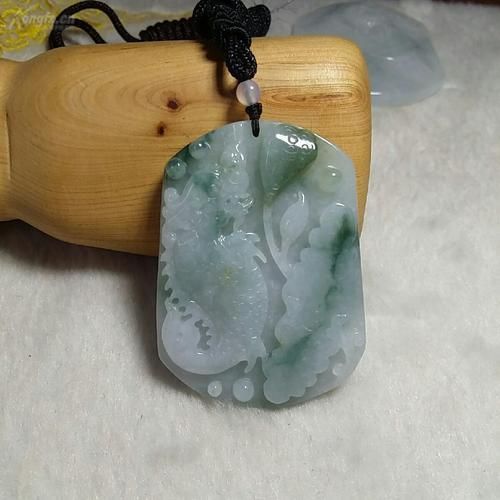 龍魚拍賣網：龍魚拍賣網與龍魚拍賣相關的網站