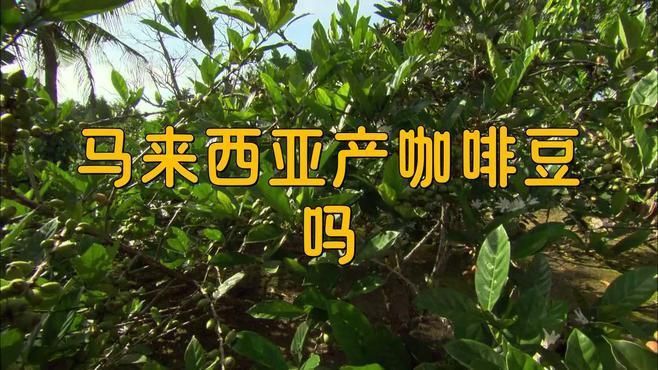 馬來西亞咖啡