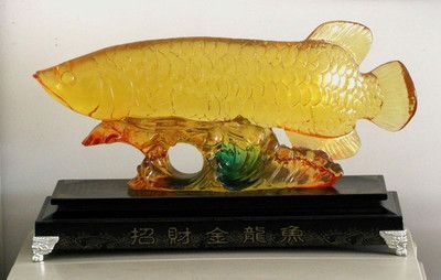 金龍魚抱卵：金龍魚在自然環境中會選擇合適的條件下產卵，金龍魚產卵有什么表現