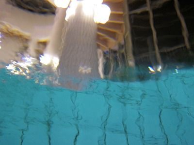 金龍魚爬缸：金龍魚趴缸底是咋回事