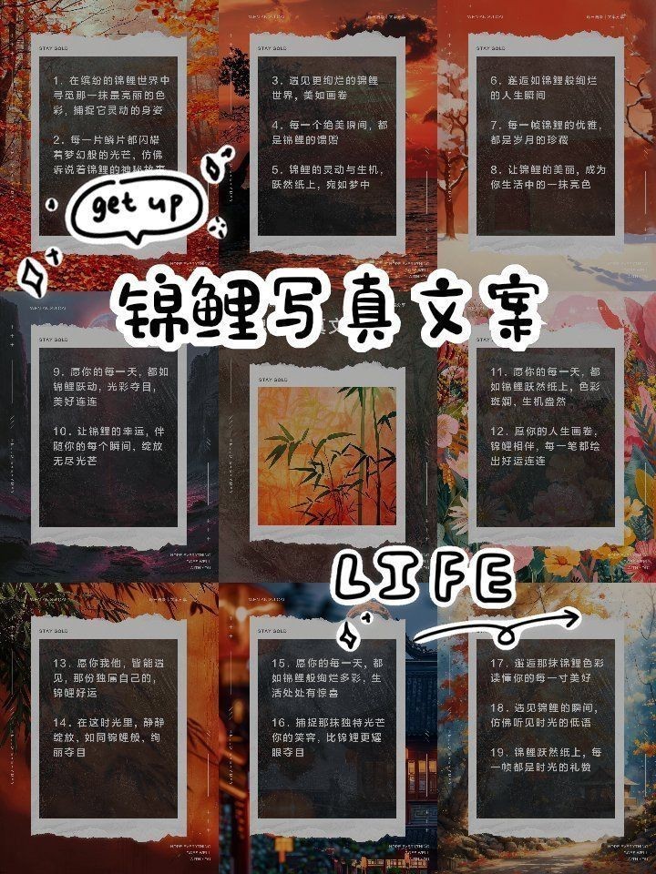錦鯉昵圖網 錦鯉昵圖網 龍魚百科 第8張