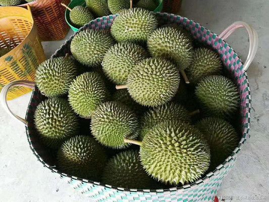 貓山王榴蓮價格對比，2018年貓山王榴蓮的價格