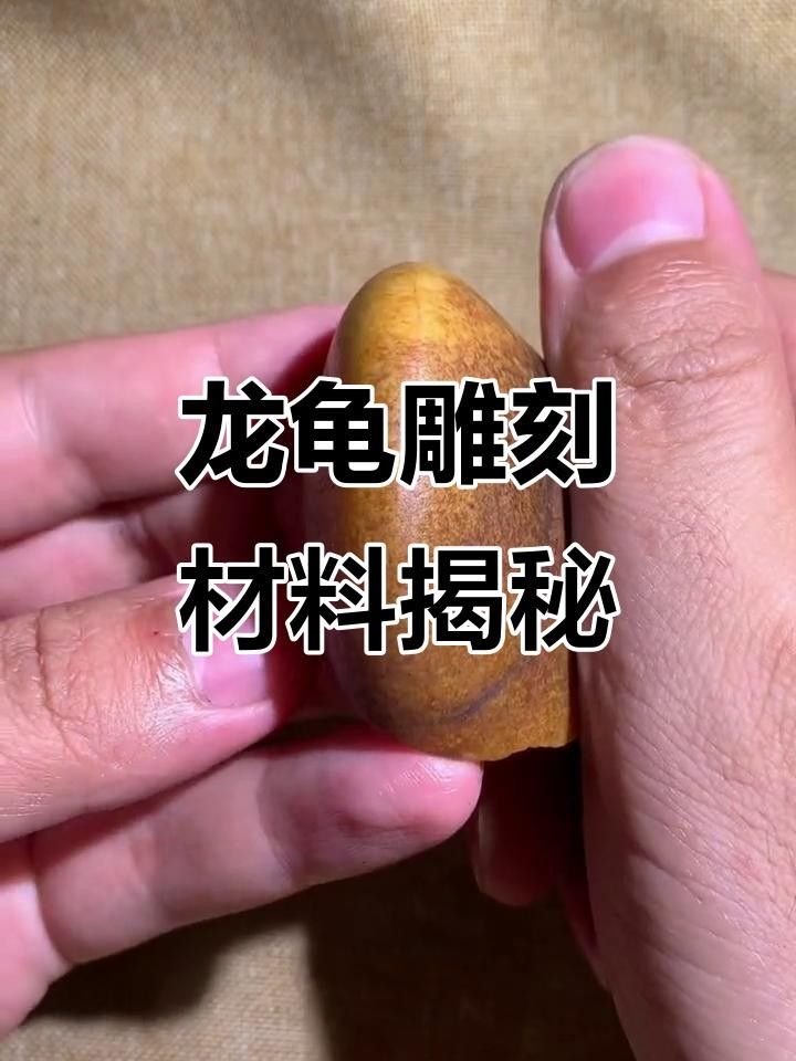 龍頭龜哪個(gè)材質(zhì)最好？