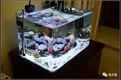 水族器材購(gòu)買(mǎi)常見(jiàn)問(wèn)題解答：如何選擇合適的水族箱