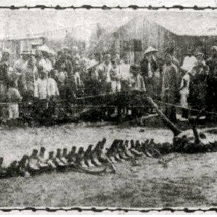 1934年營口墜龍事件有哪些目擊者？