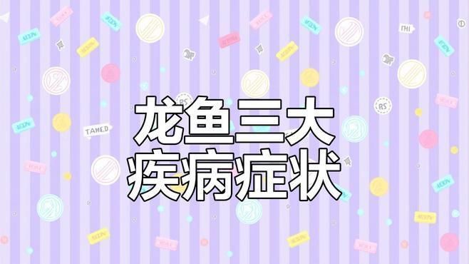 古典龍魚疾病預防