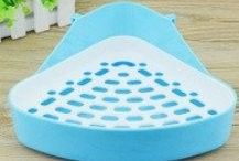 龍貓排便訓(xùn)練需要多長(zhǎng)時(shí)間？ 龍貓排便訓(xùn)練需要多長(zhǎng)時(shí)間？ 龍魚百科 第7張