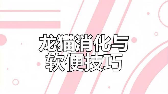 龍貓排便訓(xùn)練需要多長(zhǎng)時(shí)間？ 龍貓排便訓(xùn)練需要多長(zhǎng)時(shí)間？ 龍魚百科 第4張