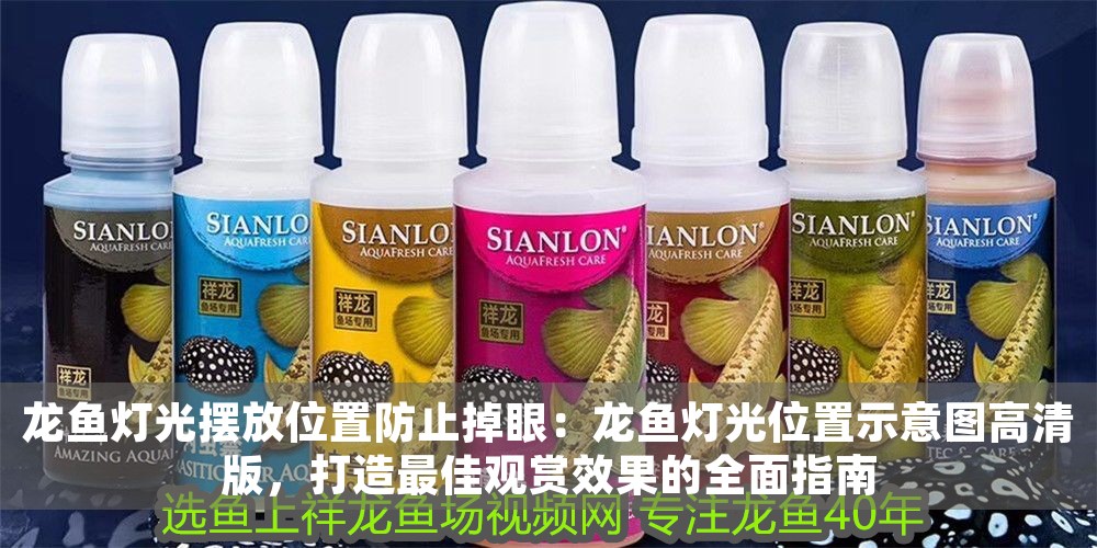 龍魚燈光擺放位置防止掉眼：龍魚燈光位置示意圖高清版，打造最佳觀賞效果的全面指南