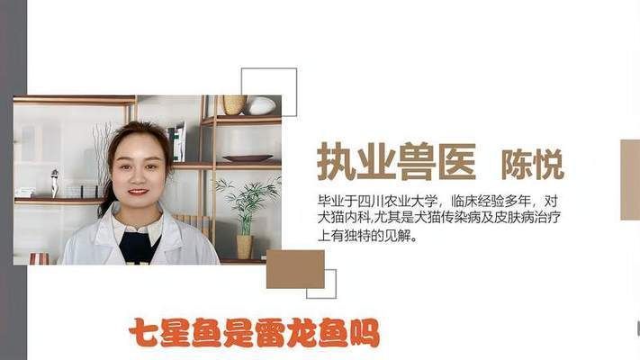 七星魚是雷龍魚嗎（七星魚與雷龍魚的區別）