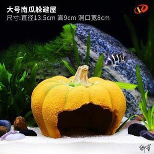 六角恐龍魚缸造景圖片大全，六角恐龍魚缸造景圖片大全六角恐龍魚缸水質管理方法