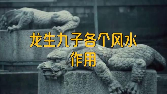 《風水龍生蘇輕雪》的主要內容是什么？