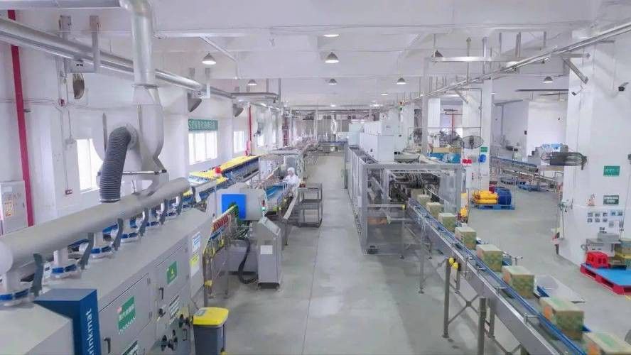 金龍魚金廚(廣東)調味食品有限公司怎么樣