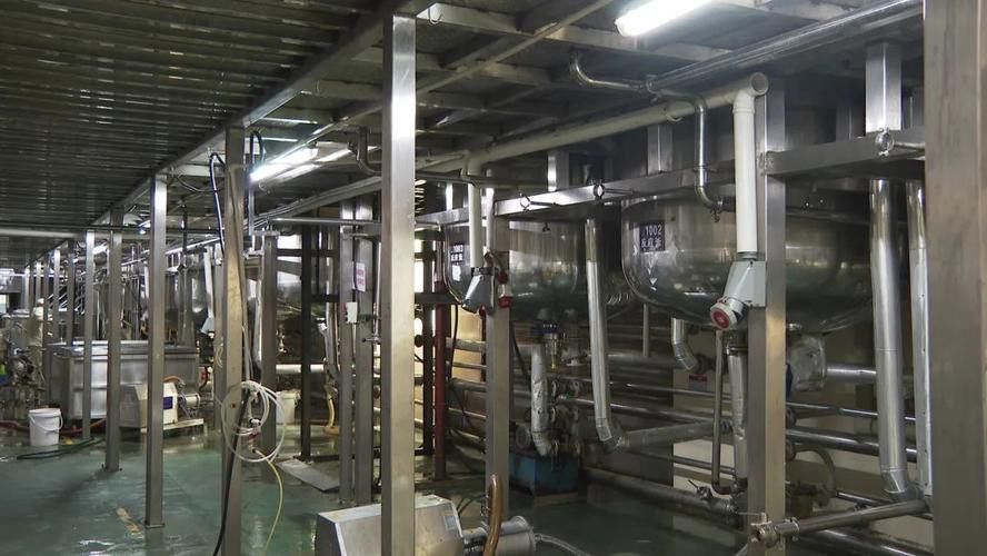 金龍魚金廚(廣東)調味食品有限公司怎么樣