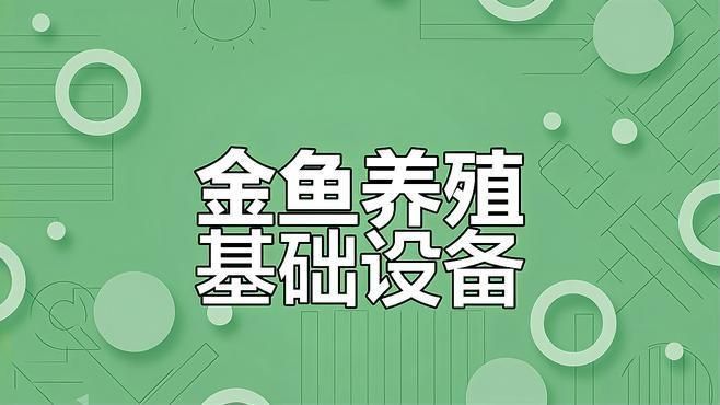 金魚飼養需要哪些設備？