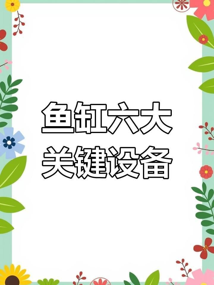 金魚飼養需要哪些設備？