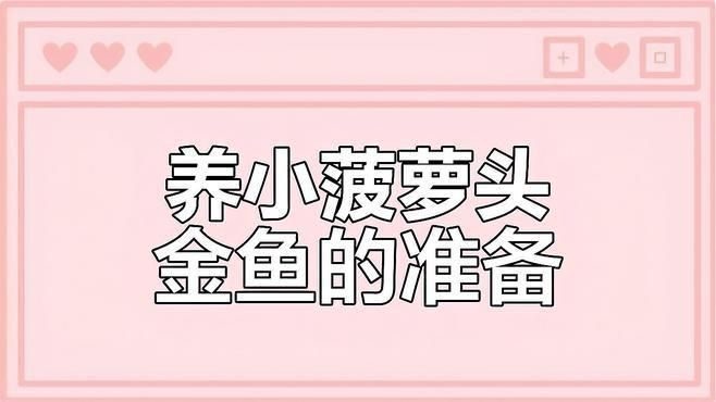 金魚飼養需要哪些設備？
