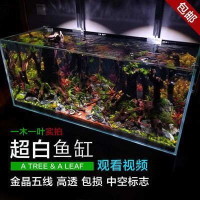 龍魚配魟魚清理魚缸嗎：魟魚可以在一定程度上幫助清潔魚缸嗎？ 龍魚配魟魚清理魚缸嗎：魟魚可以在一定程度上幫助清潔魚缸嗎？ 龍魚百科 第5張