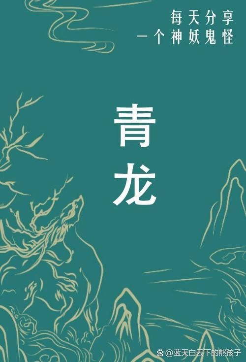 《風(fēng)水青龍》有哪些版本推薦？
