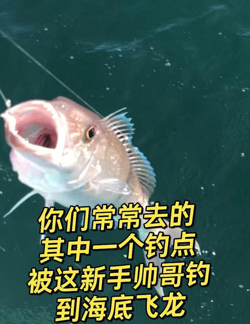 海底飛龍魚圖片大全