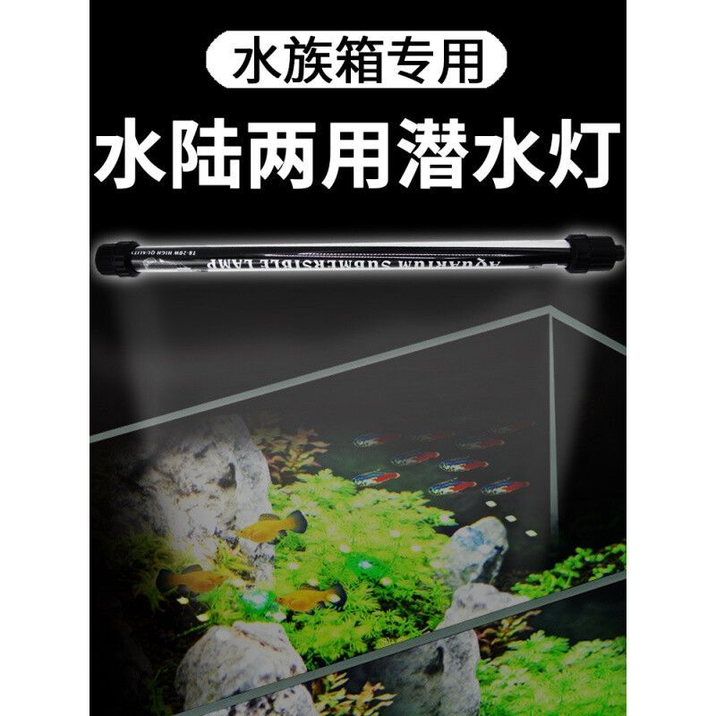 龍魚燈865與965的比較【選擇龍魚燈時，865和965是兩種常見的型號】 龍魚燈865與965的比較【選擇龍魚燈時，865和965是兩種常見的型號】 龍魚百科 第2張