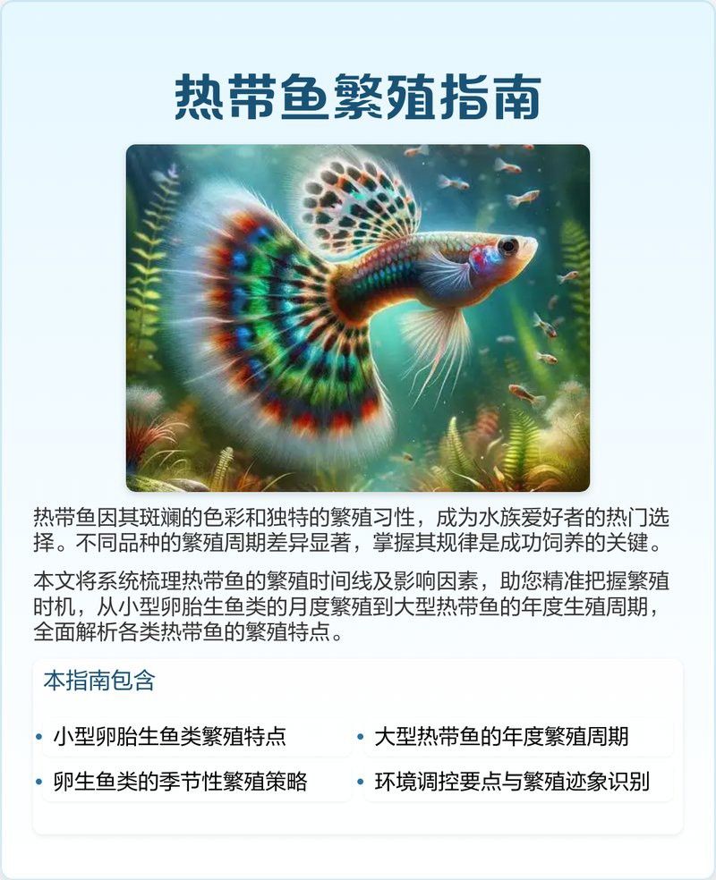 藍(lán)金龍魚繁殖間隔多久最佳？