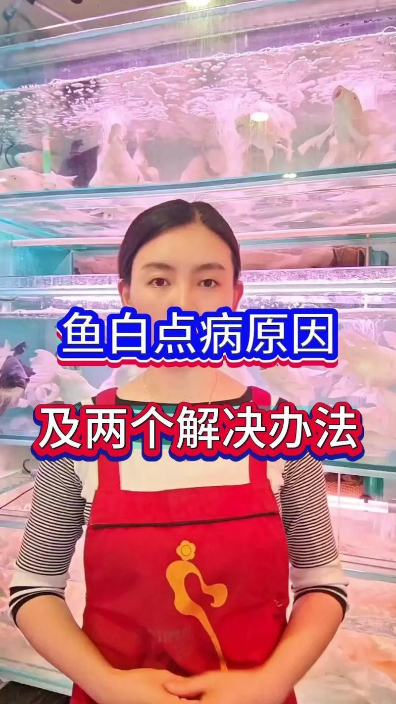 銀龍魚身上長白點(diǎn)了怎么辦圖片