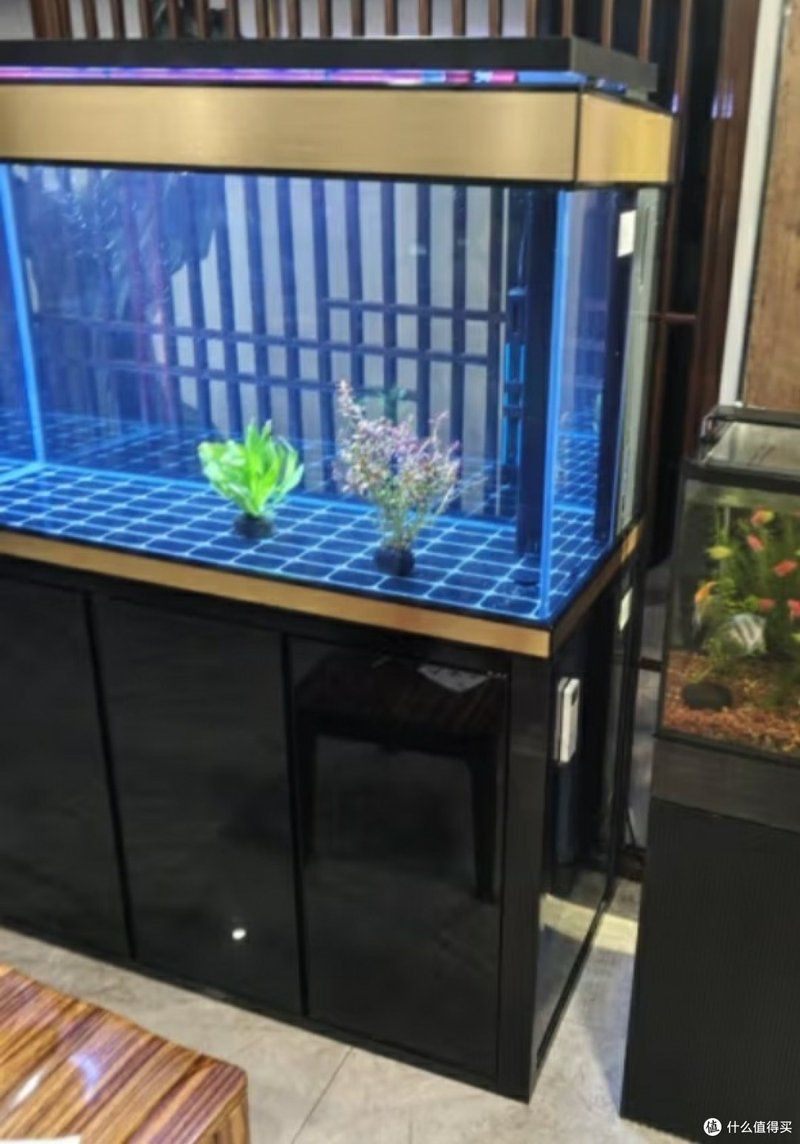 給我推薦幾款80cm寬的龍魚缸 龍魚百科 第3張 給我推薦幾款80cm寬的龍魚缸 給我推薦幾款80cm寬的龍魚缸 龍魚百科 第3張