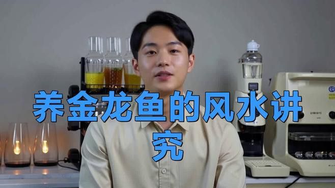 藍底過背金龍的最佳混養(yǎng)伙伴有哪些？