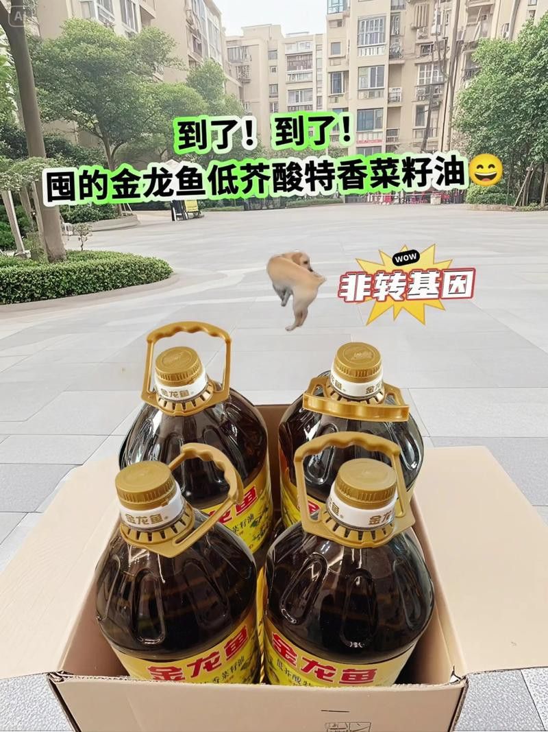 金龍魚有哪些消費者反饋案例？